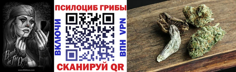 Галлюциногенные грибы прущие грибы  OMG зеркало  Домодедово 